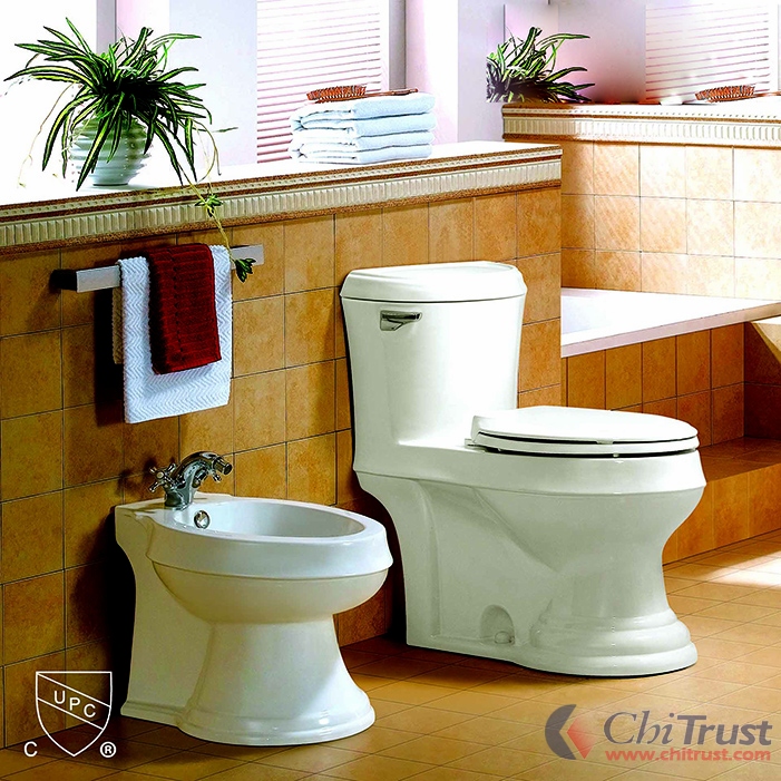 <b>SIPHONIC ONE-PIECE TOILET S-TRAP</b>